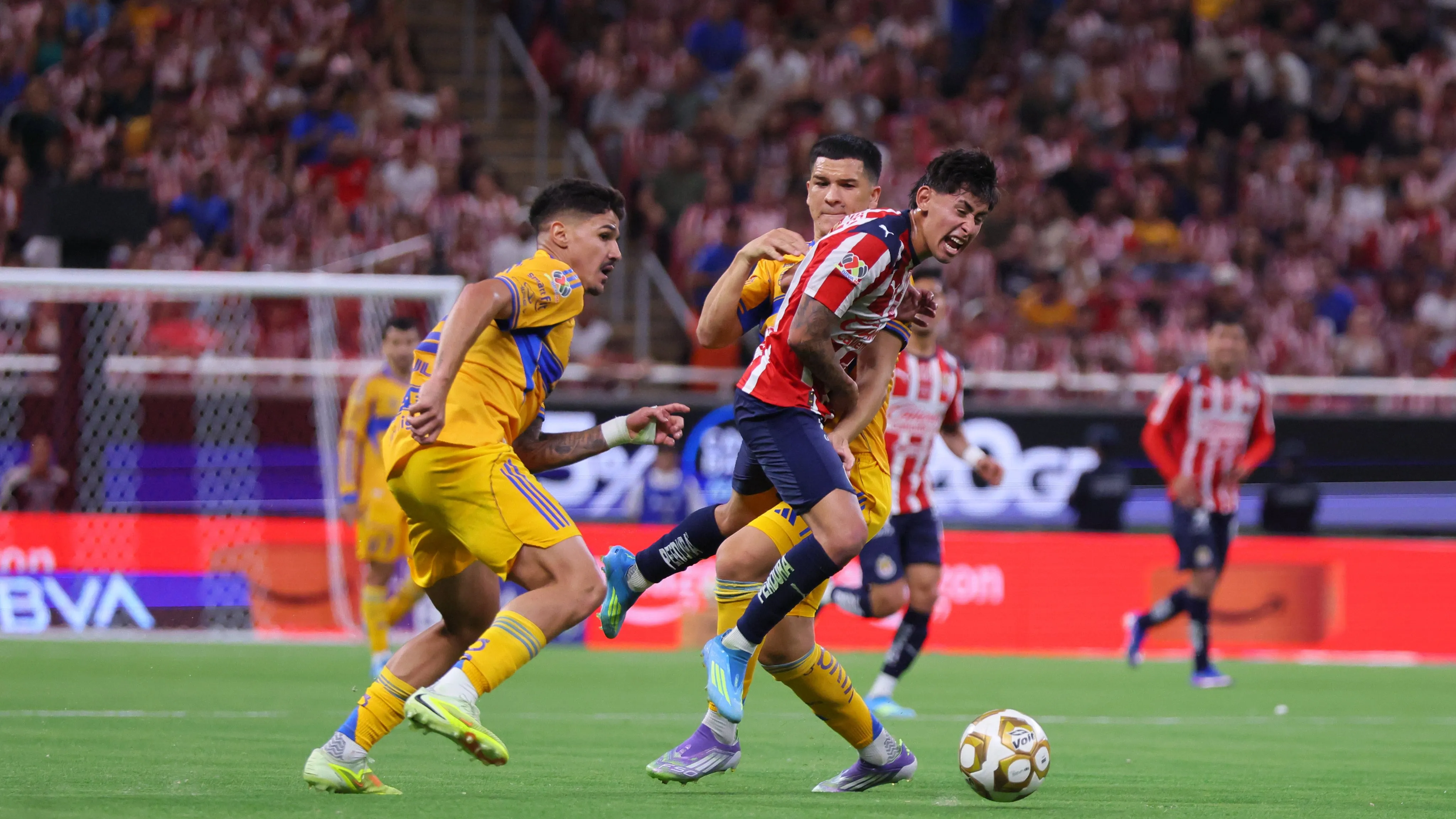 Chivas-Tigres, el juego destacado de la J12 [Foto: Getty]