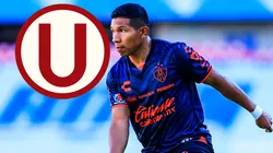 El último paso para que Flores vuelva a Universitario