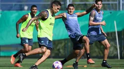 Paolo Guerrero anotó su primer gol con Racing Club