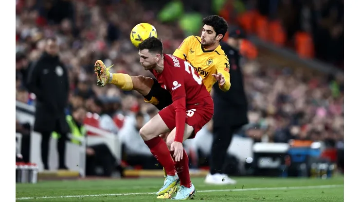 Liverpool v Wolverhampton Wanderers: Emirates FA Cup Third Round