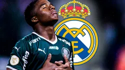 Argentina es Campeón del Mundo y Misterchip lo confirmó con este dato