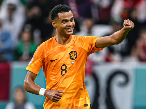 Está en racha: Cody Gakpo anotó el 1-0 de Países Bajos ante Qatar