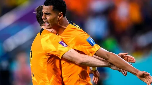 Gakpo anotó monstruoso gol en Qatar 2022
