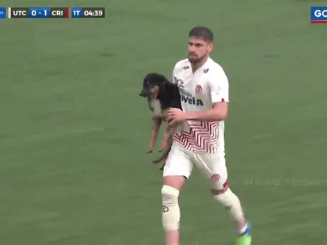 UTC de Cajamarca vs. Sporting Cristal: perro se mete a la cancha y lo saca Nicolás Ortiz