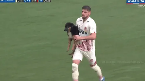 UTC de Cajamarca vs. Sporting Cristal: perro se mete a la cancha y lo saca Nicolás Ortiz