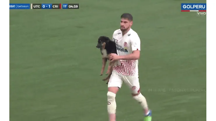 UTC de Cajamarca vs. Sporting Cristal: perro se mete a la cancha y lo saca Nicolás Ortiz
