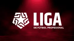 ¿Cuáles son los equipos que pelean el descenso y la clasificación a torneos internacionales?