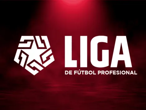 ¿Cuáles son los equipos que pelean el descenso y la clasificación a torneos internacionales?