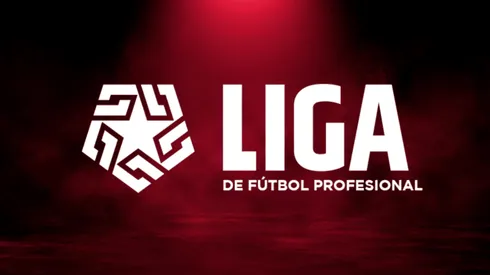 ¿Cuáles son los equipos que pelean el descenso y la clasificación a torneos internacionales?