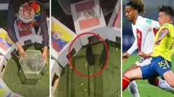 'El cuy Renato' dio su pronóstico y Perú le ganará a Colombia la medalla de bronce