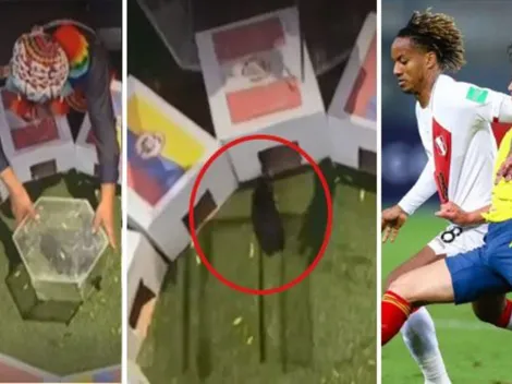 'El cuy Renato' dio su pronóstico y Perú le ganará a Colombia la medalla de bronce