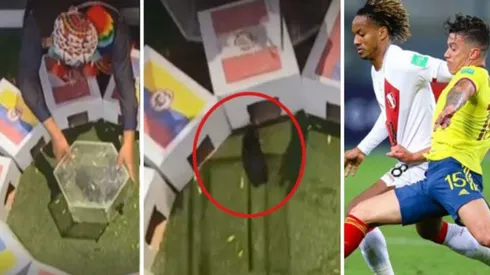 'El cuy Renato' dio su pronóstico y Perú le ganará a Colombia la medalla de bronce