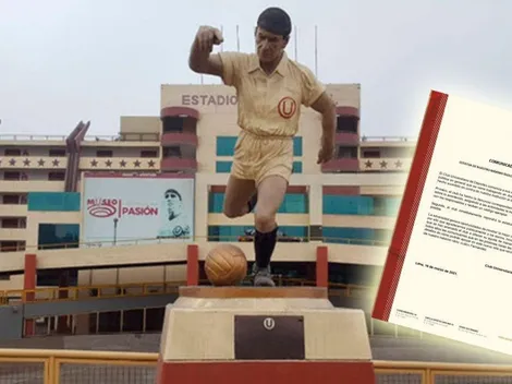 Lolo eterno: nuevas imágenes muestran espectacular estatua de Teodoro Fernández