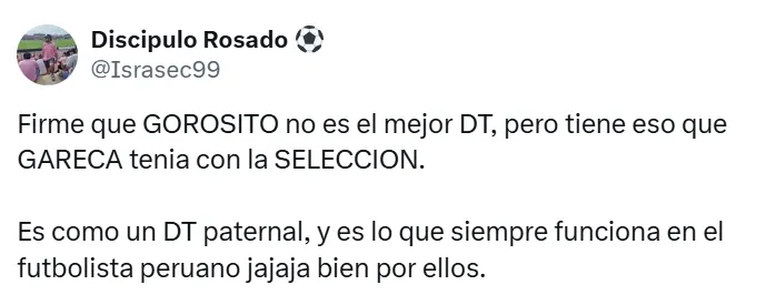 Hinchas piden a Gorosito a la Selección. (Foto: Captura de pantalla X)