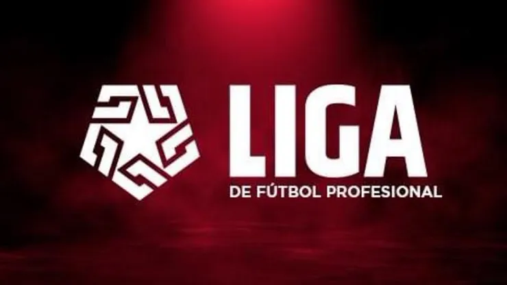 Técnico se fue de la Liga 1 hacia Chile.