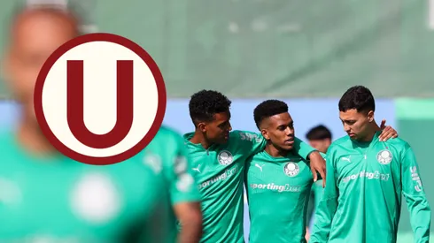 La dura baja que tendrá Palmeiras ante Universitario en Copa Libertadores.