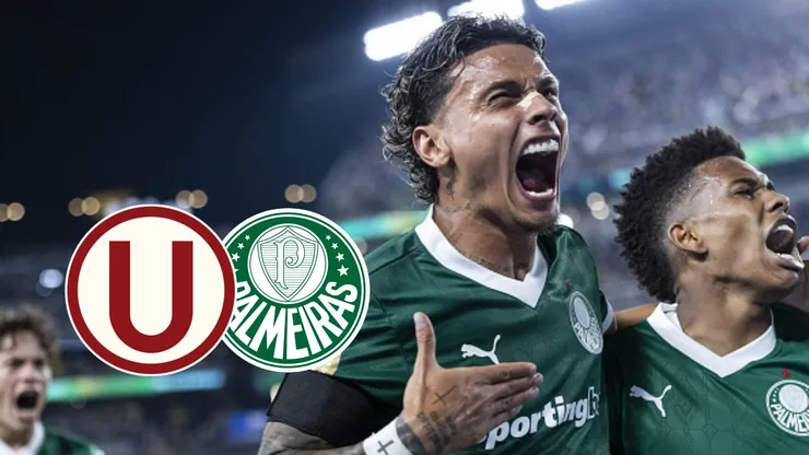 Palmeiras.