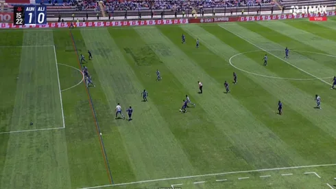 El trazado de líneas en el gol anulado a Hernán Barcos.