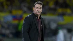 Néstor Lorenzo, actual entrenador de la Selección Colombia.