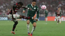 Palmeiras y Flamengo se enfrentaron por última vez por la fecha 29 del Brasileirão y fue victoria del Mengão por 3-2.