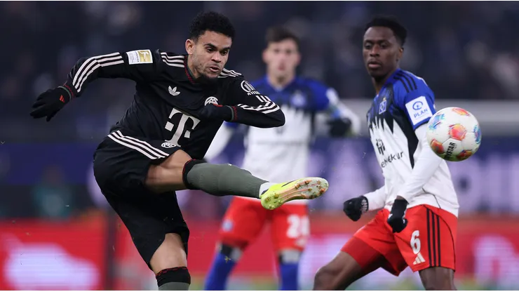 Bayern y Hamburgo jugaron por la fecha 20 de la Bundesliga.