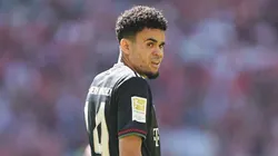 Bayern Múnich confirmó quién es el reemplazo perfecto de Luis Díaz.