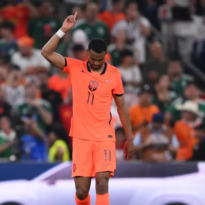 Por qué Cody Gakpo lloró tras el gol que marcó en Países Bajos vs Marruecos