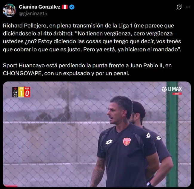 Las duras frases de Pellejero contra el arbitraje (X @gianinag15).