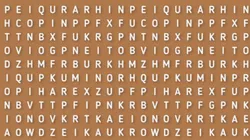 CASI NADIE LO LOGRA: descubre la palabra ERIZO en 6 segundos