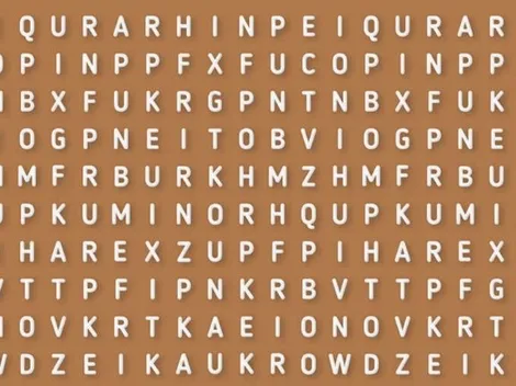 CASI NADIE LO LOGRA: descubre la palabra ERIZO en 6 segundos