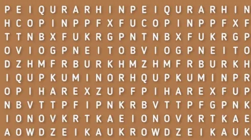 CASI NADIE LO LOGRA: descubre la palabra ERIZO en 6 segundos