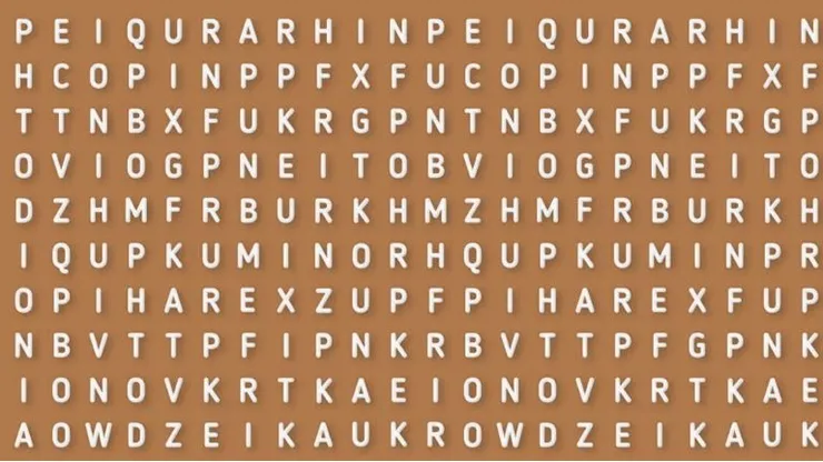 CASI NADIE LO LOGRA: descubre la palabra ERIZO en 6 segundos