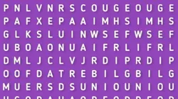 ES MUY FÁCIL: encuentra la palabra CHINCHES en 7 segundos