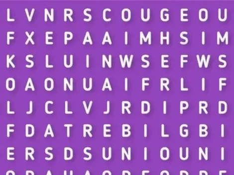 ES MUY FÁCIL: encuentra la palabra CHINCHES en 7 segundos