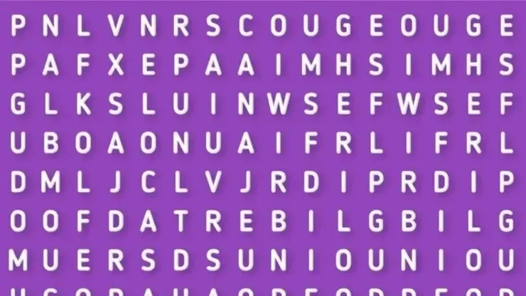 ES MUY FÁCIL: encuentra la palabra CHINCHES en 7 segundos