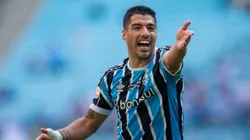 Político brasileño envió un proyecto de ley para que Suárez sea ciudadano de Porto Alegre