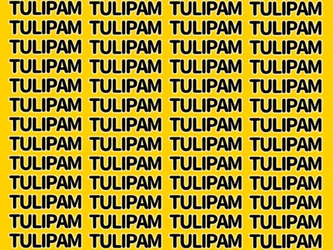 Desafío COMPLICADÍSIMO: encuentra la palabra TULIPAN en 7 segundos