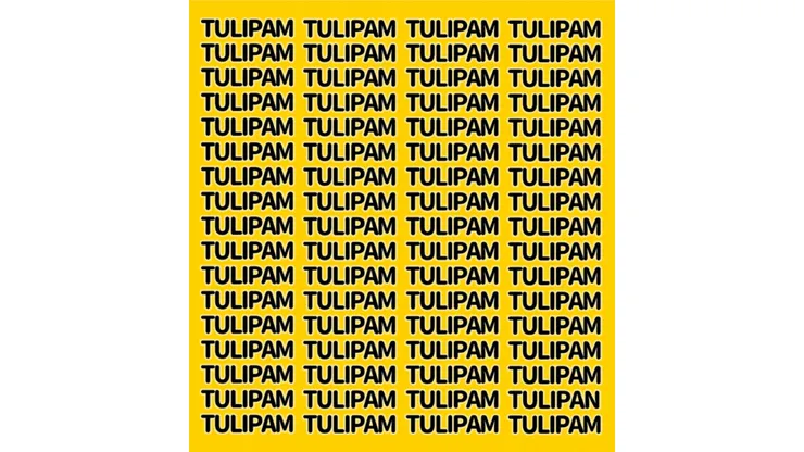 Desafío COMPLICADÍSIMO: encuentra la palabra TULIPAN en 7 segundos