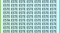 Acertijo visual NIVEL EXPERTO: encuentra la palabra "ESTA" en 30 segundos