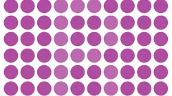 SOLO EL 5% PUDO: encuentra la letra "B" en 25 segundos