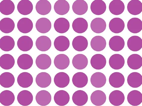 SOLO EL 5% PUDO: encuentra la letra "B" en 25 segundos