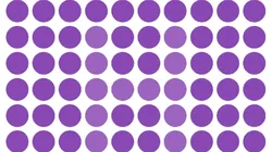 Solo para VISTAS DE HALCÓN: encuentra la letra oculta en la imagen en 13 segundos