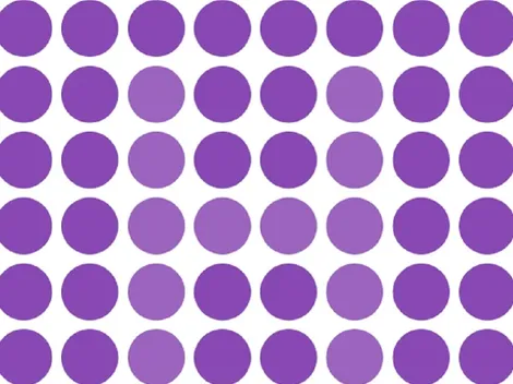 Solo para VISTAS DE HALCÓN: encuentra la letra oculta en la imagen en 13 segundos