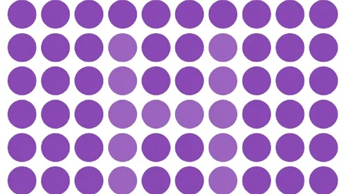 Solo para VISTAS DE HALCÓN: encuentra la letra oculta en la imagen en 13 segundos