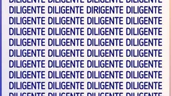 Solo para detectives: ubica la palabra DIRIGENTE en 7 segundos