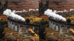 ESTE DESAFÍO ES IMPOSIBLE: no podrás encontrar las diferencias en 30 segundos