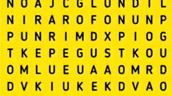 Solo para los TEAM VERANO: encuentra la palabra SOL en 7 segundos