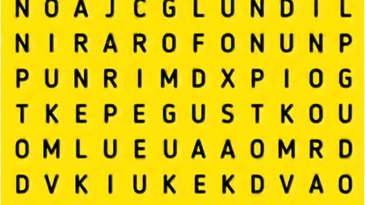 Solo para los TEAM VERANO: encuentra la palabra SOL en 7 segundos