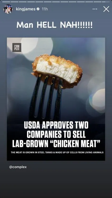 La noticia que hizo explotar a LeBron (Foto: Instagram / @kingjames)