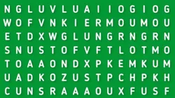 EL 98% NO PUDO: descubre la palabra EXCEL en la sopa de letras